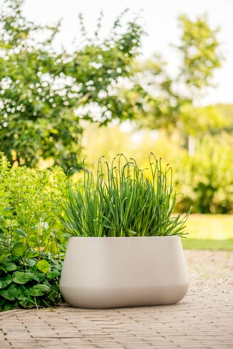 pure cone long wheels 75 greige